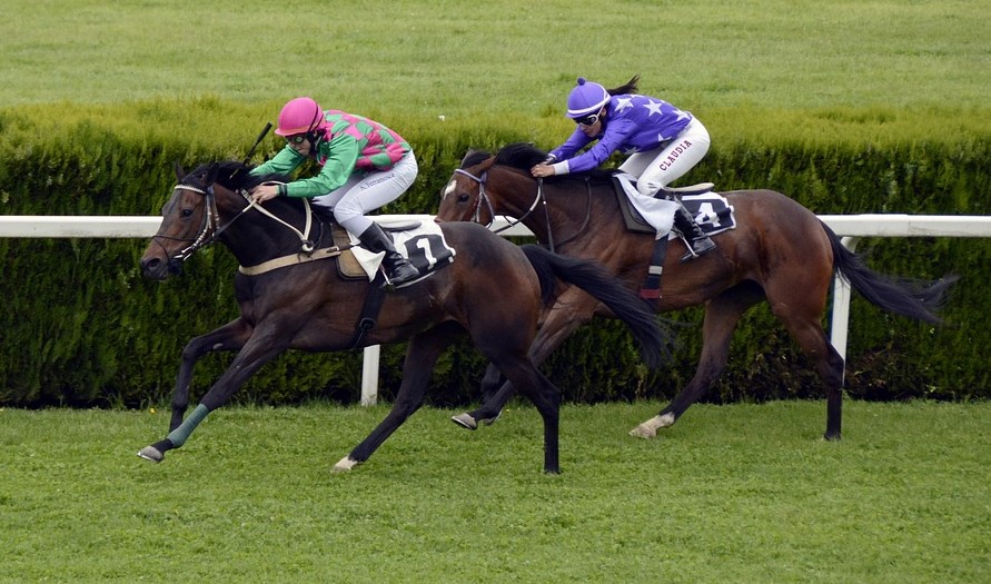 Horse Racing